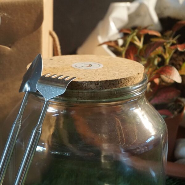 Workshop Terrarium - 22/02/25 - immagine 5