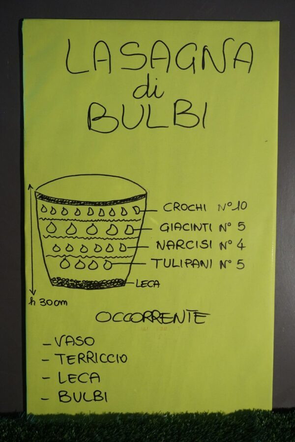 Pacco "Attesa" Lasagna di Bulbi - immagine 3