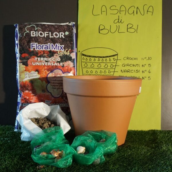 Pacco "Attesa" Lasagna di Bulbi
