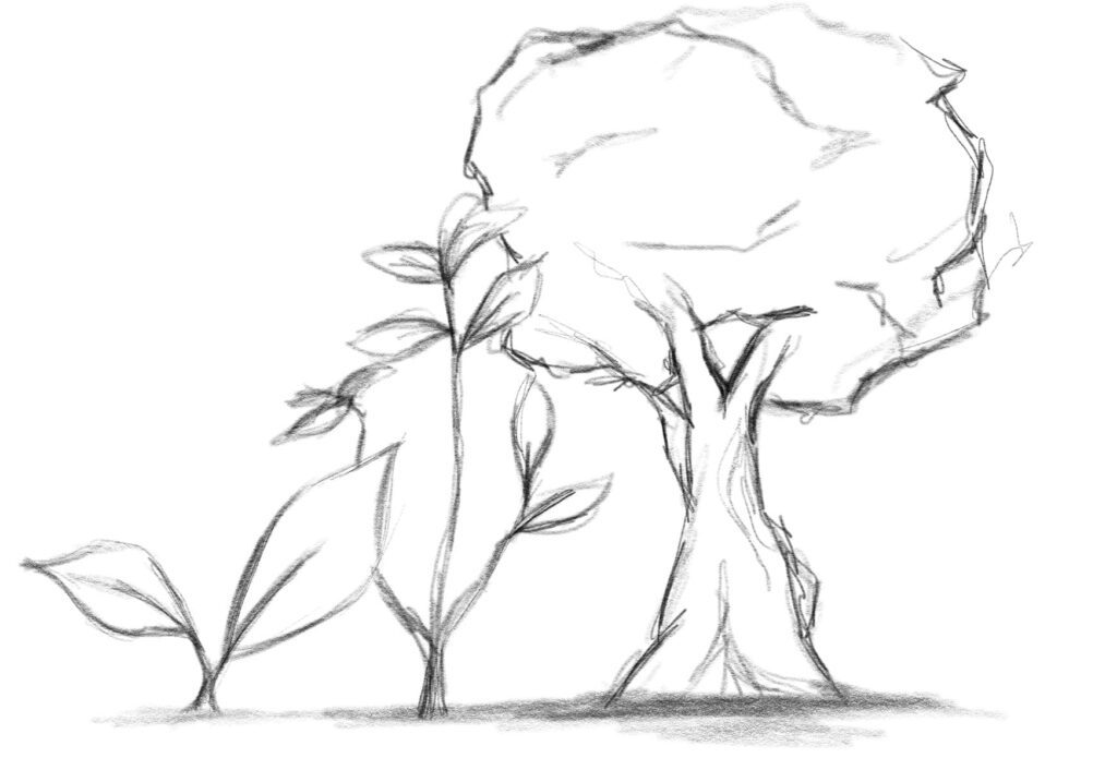 piante