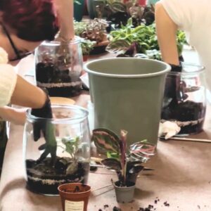 Workshop Terrarium - 22/02/25