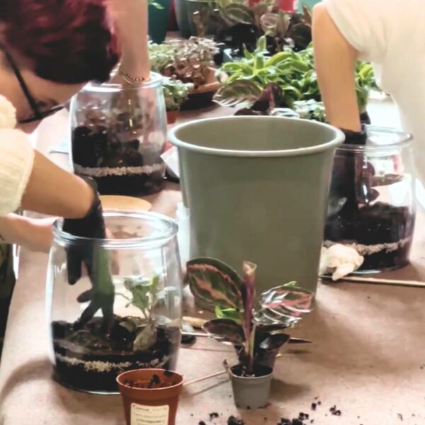 Workshop Terrarium - 22/02/25