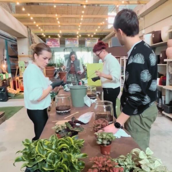Workshop Terrarium - 22/02/25 - immagine 2
