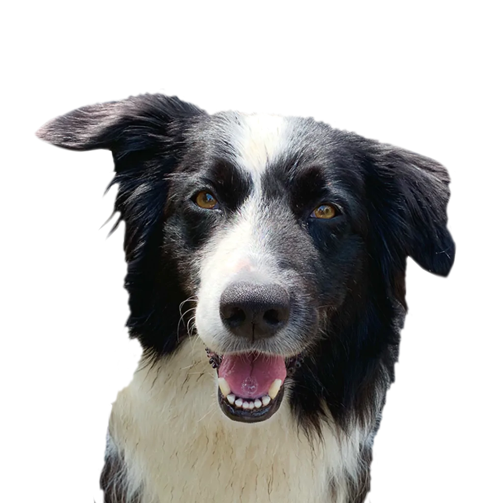 akka