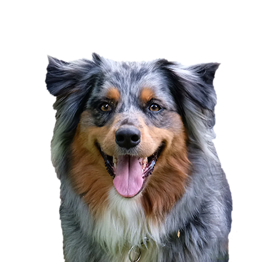zoe