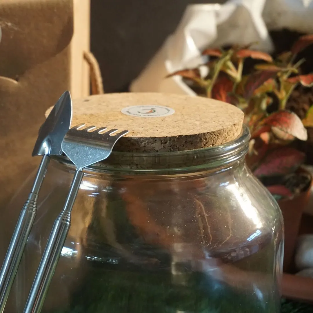 Workshop 7/03/26 - Mattino - immagine 4