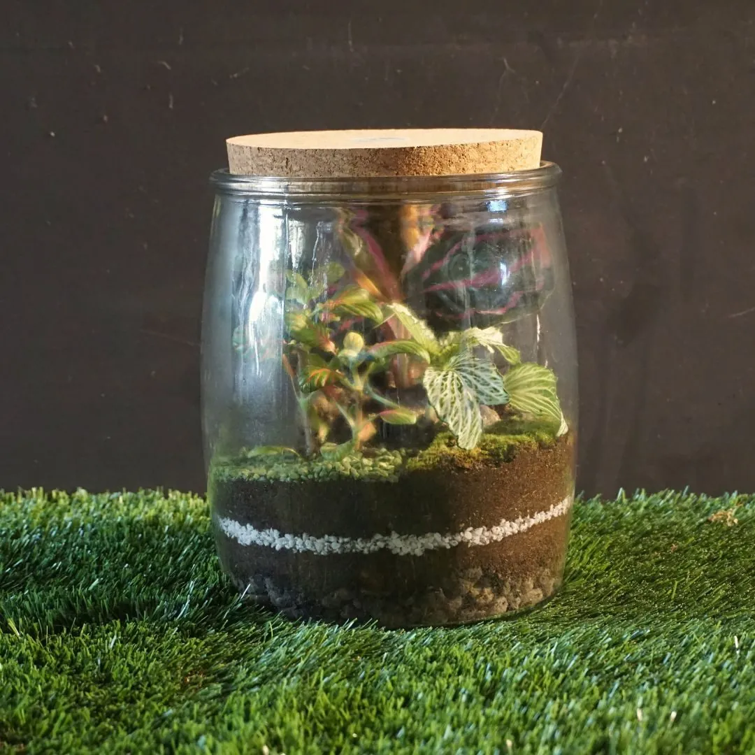 Workshop 7/03/26 - Mattino - immagine 2