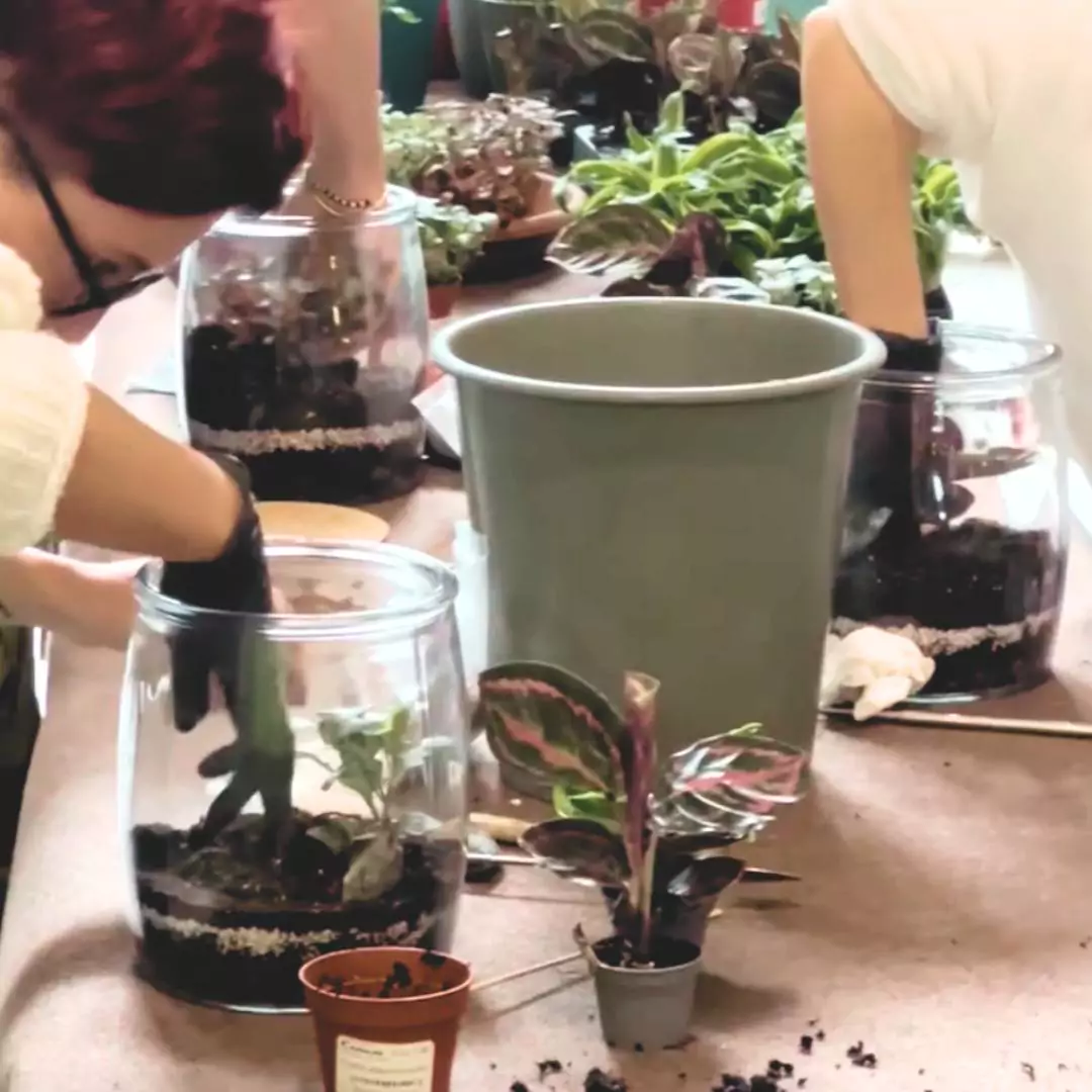 Workshop 7/03/26 - Mattino - immagine 5