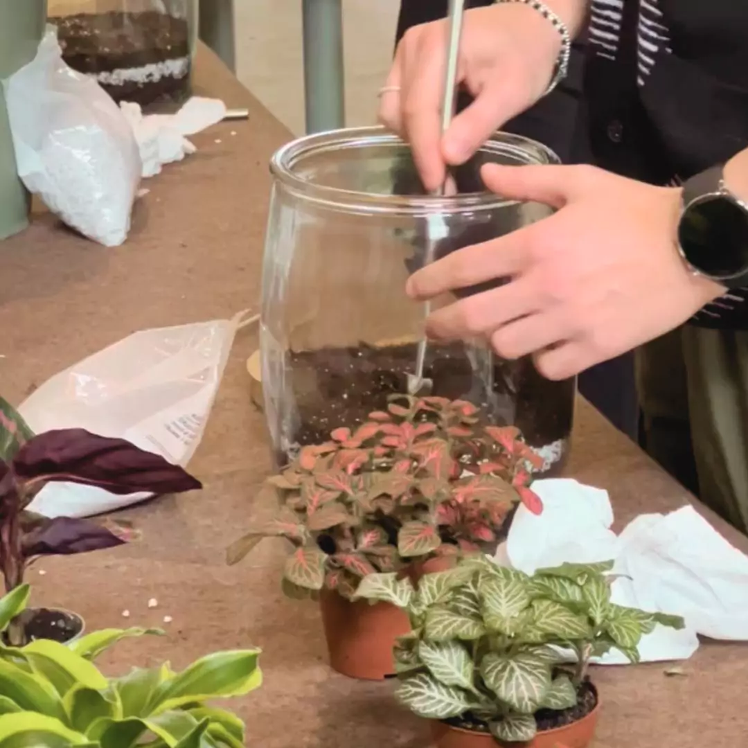 Workshop 7/03/26 - Mattino - immagine 3