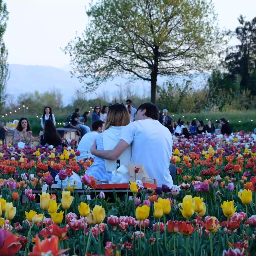 Cestino Aperitivo 12/04 - immagine 3