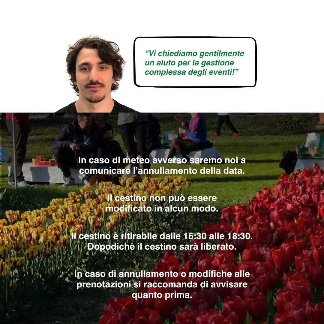 Cestino Aperitivo 12/04 - immagine 6