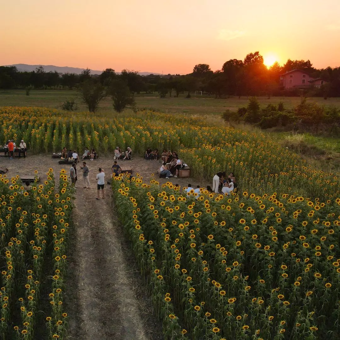 Cestino Aperitivo 10/07 - immagine 4